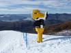 Fiabilité de l'enneigement Île du Sud – Fiabilité de l'enneigement Treble Cone