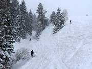 Terrain raide au télésiège Super Condor Express