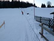 Skilift Rölzhang - Télécorde/remonte-pente à câbles bas