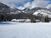 Piste facile Showoff