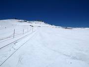 Piste facile au téléski pour enfants Gletscherboden
