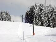 Tour du pin - Téléski