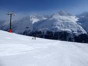 Large piste n° 3 Wilder Mann