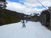 Piste facile Wombats Ramble