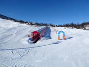 Bon plan pour les enfants : 