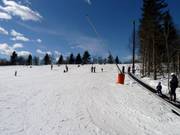 Piste d'entraînement au tapis roulant