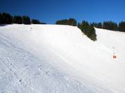 Les pentes ouvertes du Pferdeloch sont typiques du domaine skiable de Postwiesen.