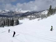 Piste au télésiège Crest 6