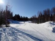 Pistes de ski de fond à Pyhä