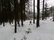 Une descente à travers la forêt est également possible.
