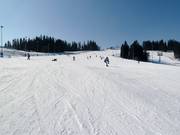 Large piste 8