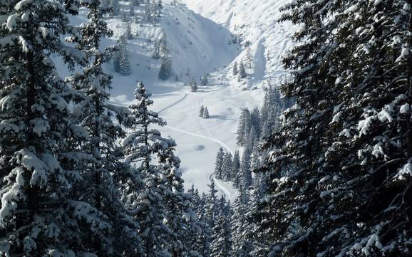 Ski nordique Walgau – Ski nordique Brandnertal – Brand/Bürserberg