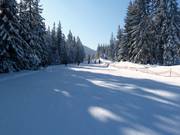 Piste familiale facile au télésiège Sonnenhang