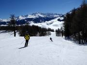 Descente sportive vers Törbel
