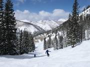 Piste dans le Honeycomb Canyon