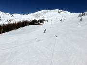 Piste Seppenalmabfahrt