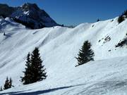 Espace skiable libre