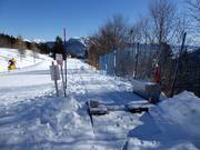 Tappeto Cjalcenal - Tapis roulant/Moving Carpet