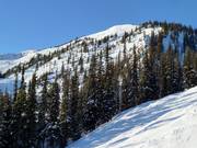 Vue sur la zone Eagle East avec des pistes difficiles Double Diamond