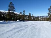 Des pistes larges et faciles dominent dans le domaine skiable de Stöten.