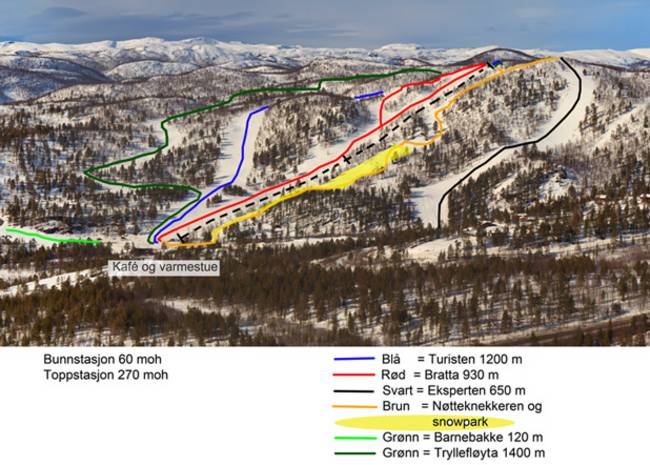 SarvesAlta SarvesAlta