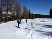 Piste de ski de fond sur la Hochrindl