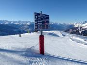 Signalisation sur les pistes