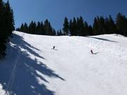 Piste raide 3 Arch. Peter Petrov