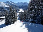 Märchenwald - Téléski à pioches