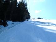 Schlepplift Lackner - Téléski à pioches