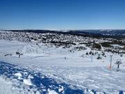 Vue sur les pistes d'entraînement au Trysil Høyfjellssenter