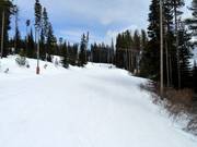 Piste facile Woodcutter au Plaza Chair