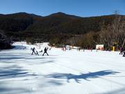 Bon plan pour les enfants : 