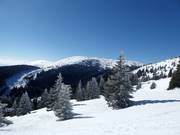 Vue sur Pančićev vrh