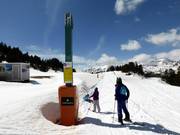 Gall de Bosc - Télécorde/remonte-pente à câbles bas
