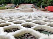 Toujours des conditions parfaites