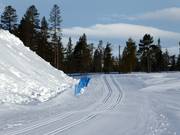Piste de ski de fond avec dépôt de neige