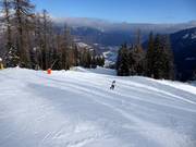Piste difficile Nera Folgàrida