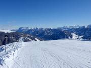 Départ de la piste difficile