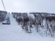 Vue sur les pistes difficiles depuis l’Osthangsbanan