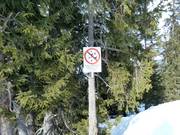 Interdiction de skier à travers la forêt