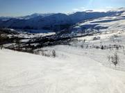 Descente Ondrahaugen