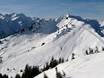 Alpes de l'Allgäu: Taille des domaines skiables – Taille Walmendingerhorn/Heuberg – Mittelberg/Hirschegg
