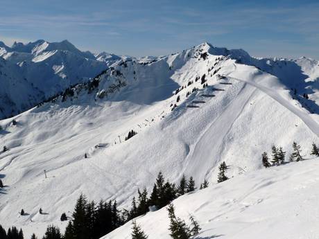 Oberstdorf/Kleinwalsertal: Taille des domaines skiables – Taille Walmendingerhorn/Heuberg – Mittelberg/Hirschegg