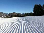 Très bonne préparation des pistes au Söllereck