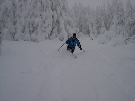 Diversité des pistes Oregon – Diversité des pistes Mt. Bachelor