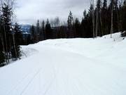 Piste facile The Last Spike