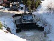 Dameuses de Mechi Chal