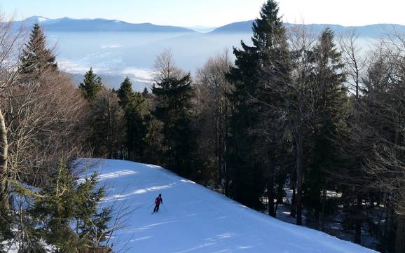 Cham: Taille des domaines skiables – Taille Hohenbogen – Neukirchen bei Hl. Blut