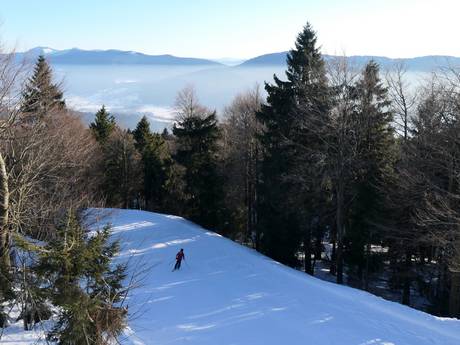 Bavière du Nord: Taille des domaines skiables – Taille Hohenbogen – Neukirchen bei Hl. Blut